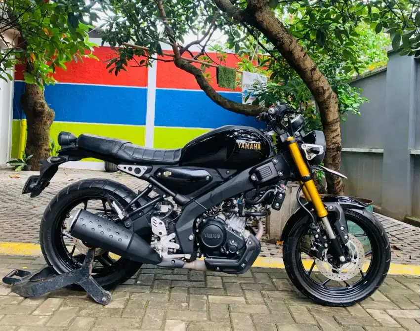 Yamaha xsr 155 2023