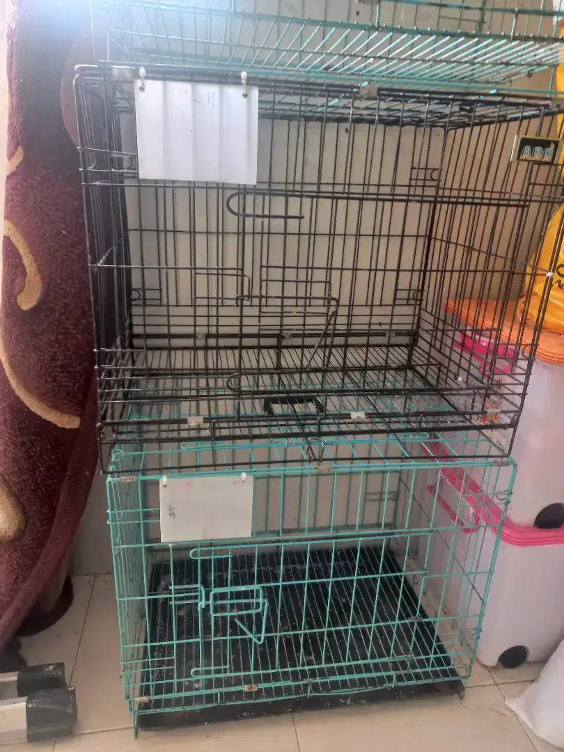 Kandang kucing atau burung