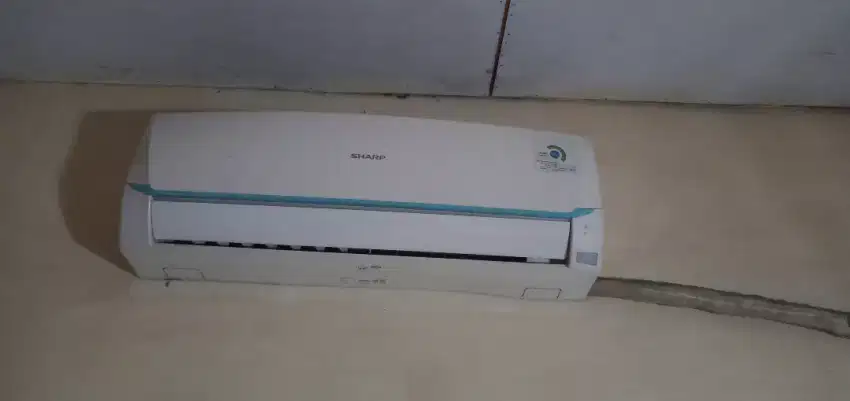 AC Sharp 1/2 pk
