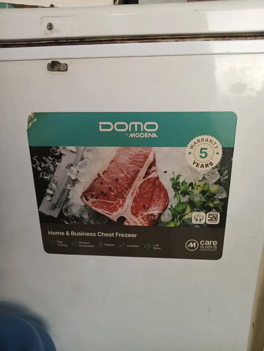 Frezeer Domo (modena) 210L
