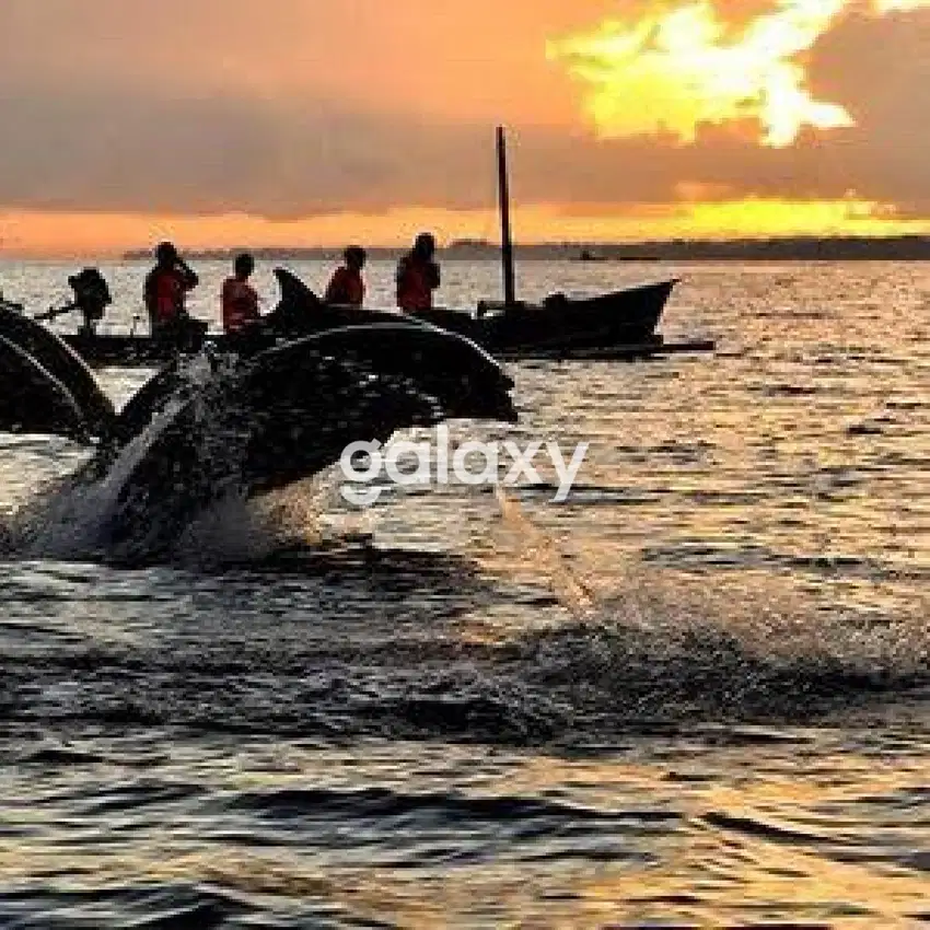 Dijual Tanah Dekat Pantai Lovina Bali paling MURAH