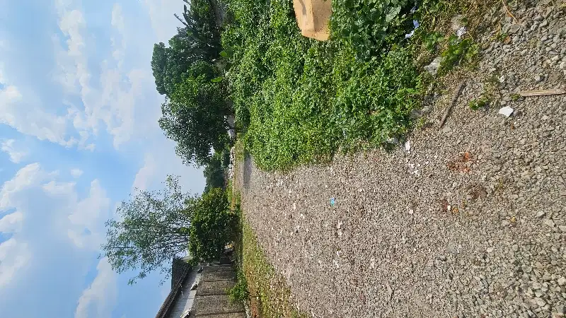 KAVLING LOKASI BUARAN BSD