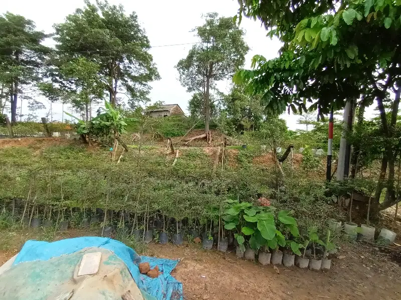TANAH KERAS STRATEGIS LOKASI BISNIS SAKO SUMATERA SELATAN