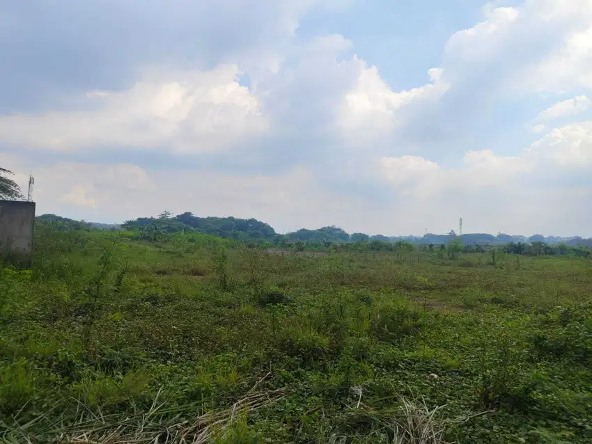 Jual/sewa lahan kosong 1,1 hektar