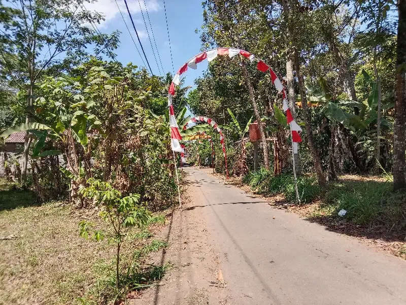 Di Jual Tanah Murah belakang pabrik SCI Salatiga
