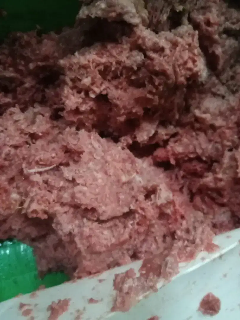 CCM/ daging ayam giling