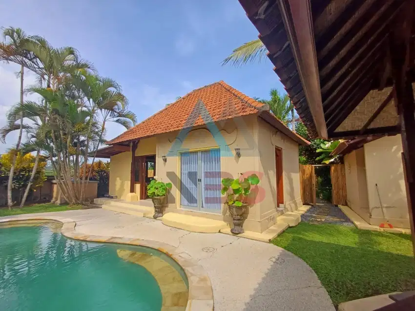 For Rent/sale Villa besar  view sawah jungle kemenuh dekat ubud