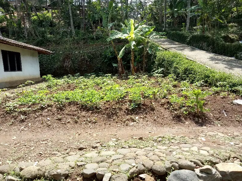 Tanah asri cocok buat hunian dikerjo karanganyar