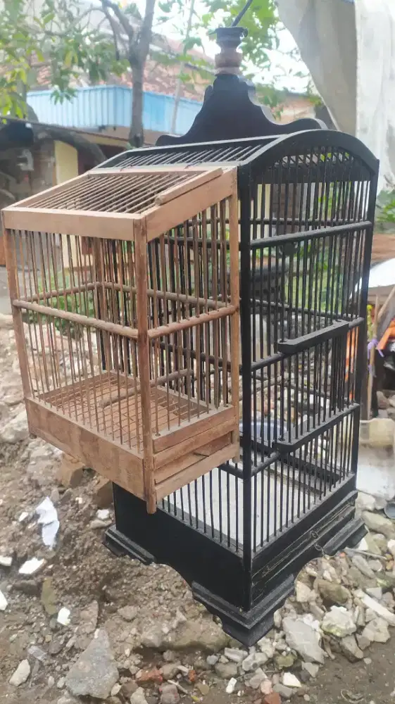 Jual sangkar burung pleci