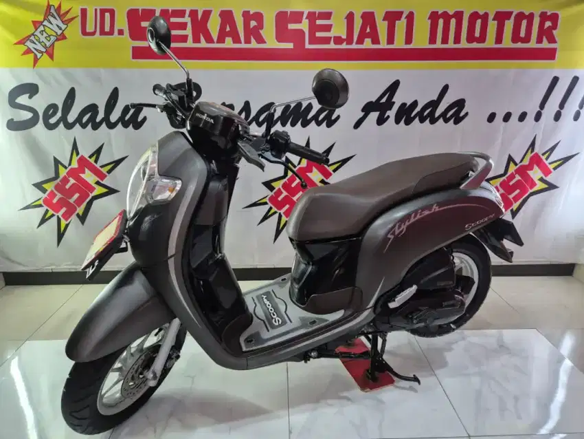 Scoopy esp remote stylist