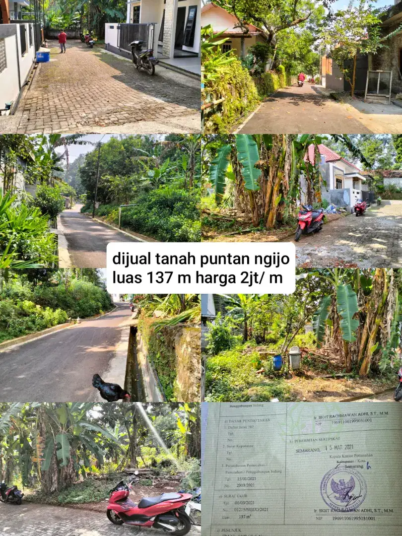 Tanah puntan ngijo gunungpati unnes semarang