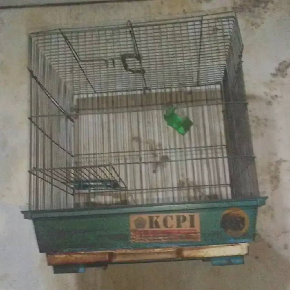 Kandang Hamster