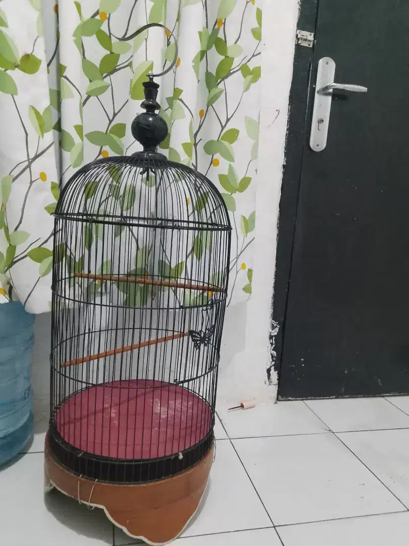 Kandang burung love bird tebok kayu masih bagus