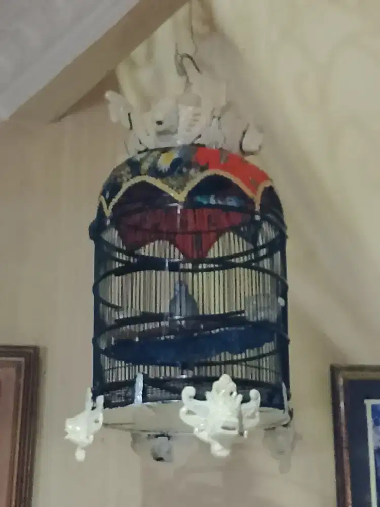 Perkutut lokal rajin manggung gacoran