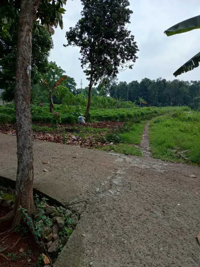 JUAL TANAH BUAT RM TINGGAL KONTRAKAN   GNSINDUR