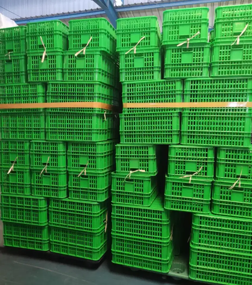 KRAT BOX PLASTIK MURMER