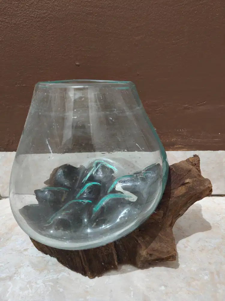 Aquarium Kayu Glasswood / Aquascape