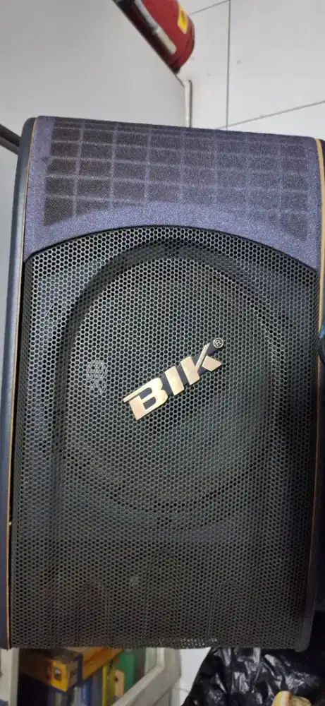 Speaker BIK 2nd