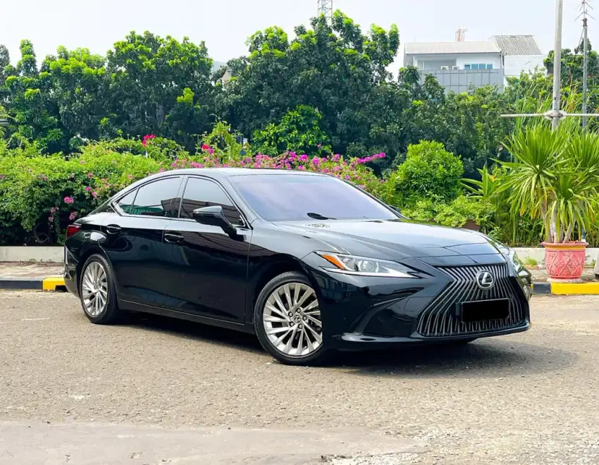 Lexus ES250 2020 Ultra Luxury / Very Low KM / Full Original