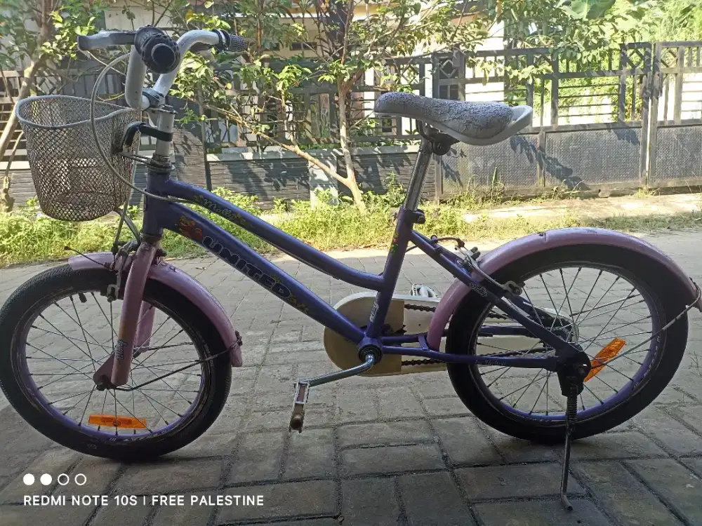 Jual sepeda anak uk 18 United molly
