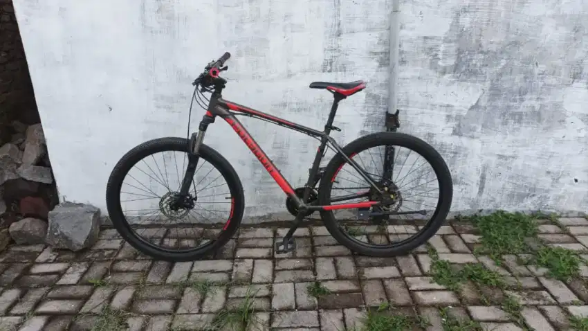 Polygon cascade 3 upgrade