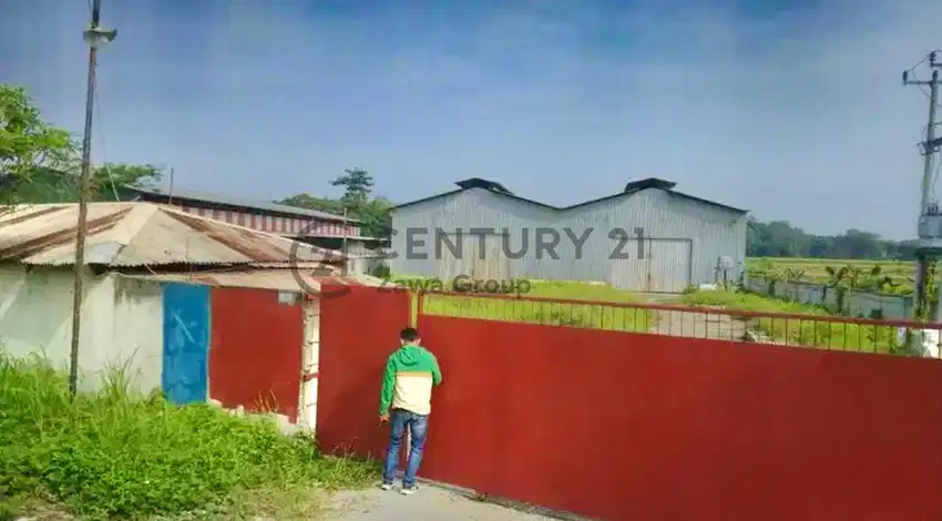 Disewakan Murah Gudang Kabupaten Serang Akses Kontainer Tangerang