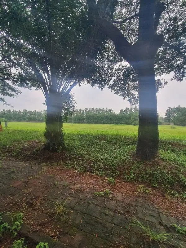 Dijual kavling cendana kedaton golf suvarna sutera tangerang