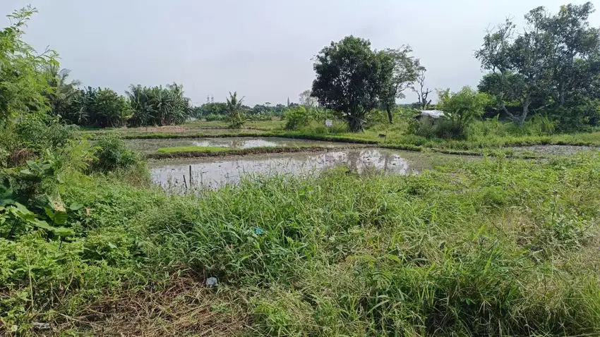 Tanah 1250 di jalan Raya RSUD Tobat Balaraja Tangerang