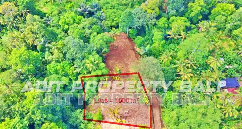 Tanah View Jungle & Sungai Payangan Ubud Gianyar