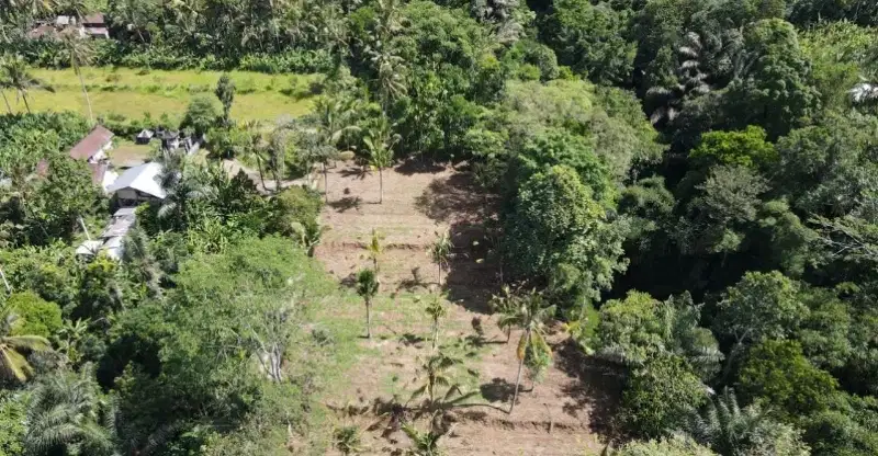 Tanah Murah Kavling Payangan Ubud
