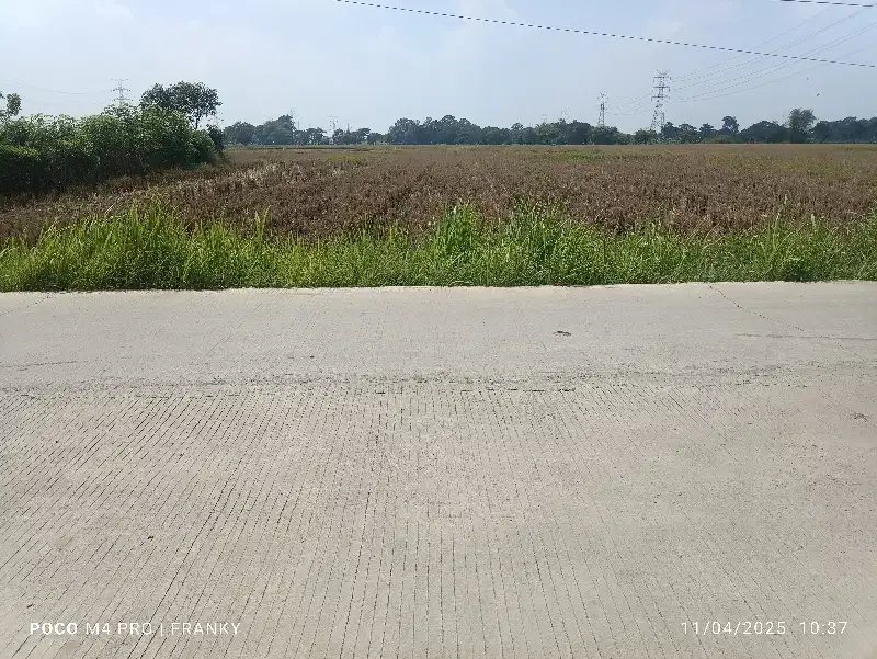 tanah di jalan utama kalodran ciruas serang banten