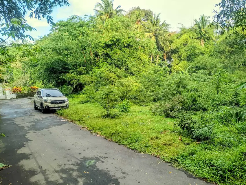 Tanah Kawasan Pemda Sleman 150 JT-an