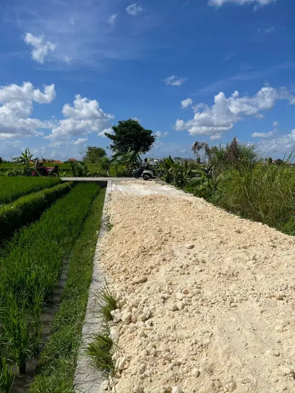 tanah Plot Kecil Dekat Pantai Seseh Cemagi Bali