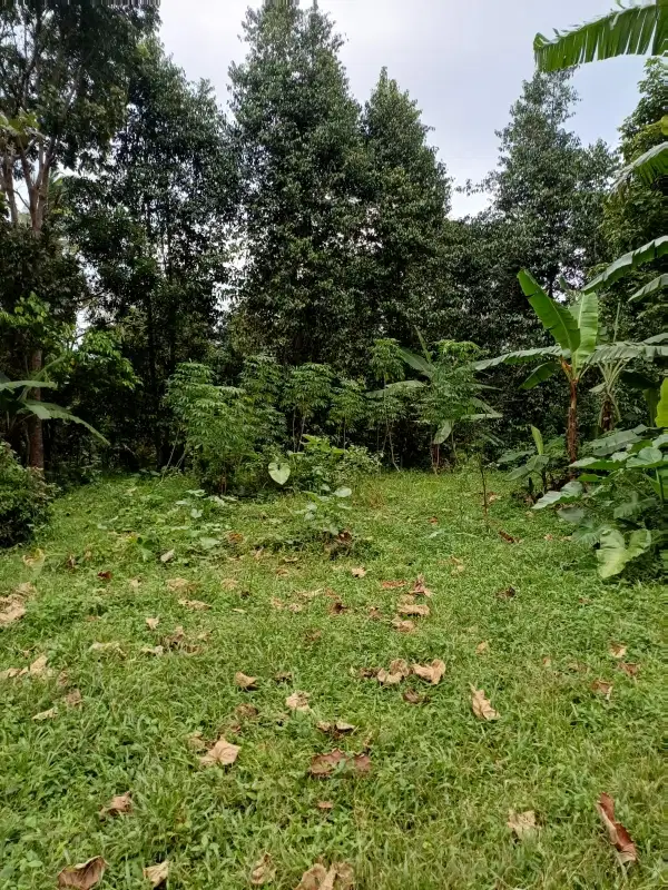 Dijual Tanah Jl. Intan Kalisidi, UNGARAN BARAT