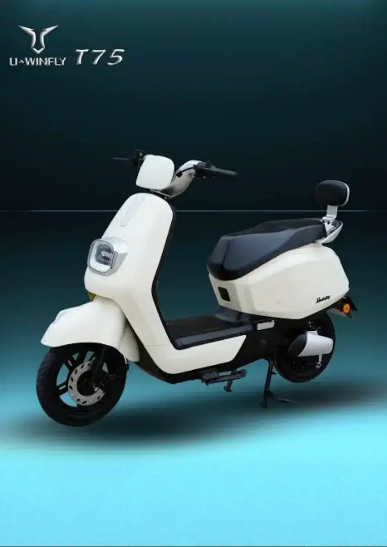 Sepeda Listrik Uwinfly T75