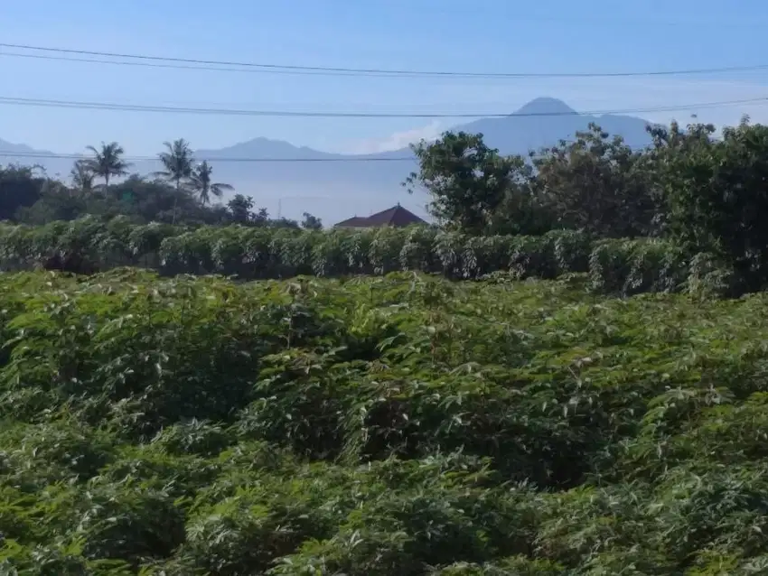 Jual tanah di tanah sereal bogor,SHM 3Km stasiun cilebut