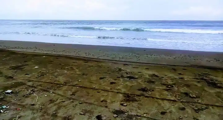Tanah datar los pantai Pekutatan boleh ambil 1230 m2