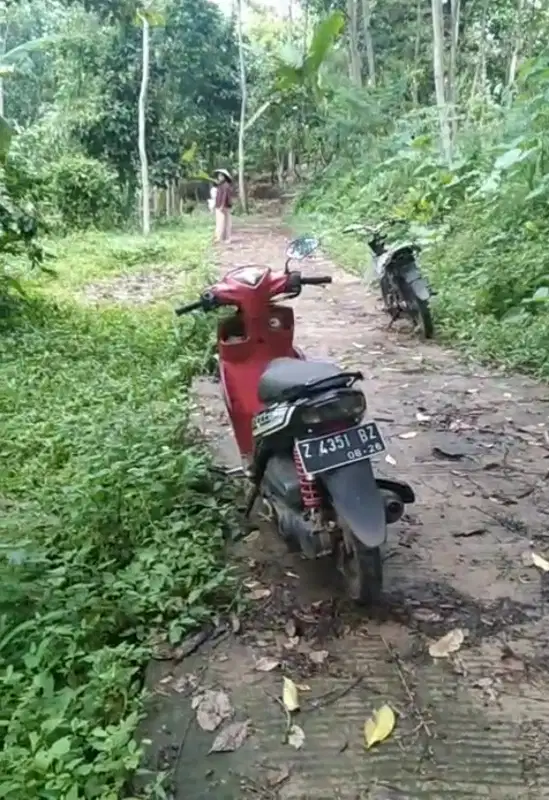 Tanah kebun akses mobil, ke jln raya 3 menitan