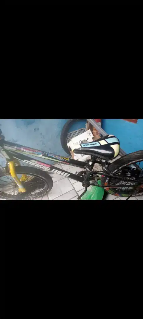 Sepeda ukuran 20