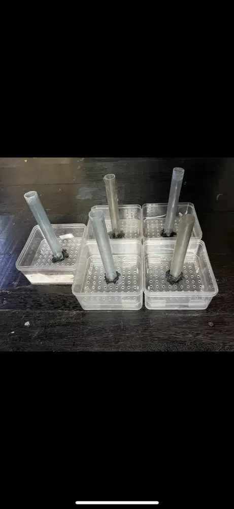 Filter Aquarium Undergravel Borongan