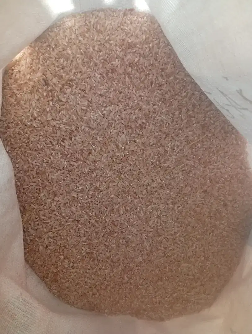 Beras Merah 50kg