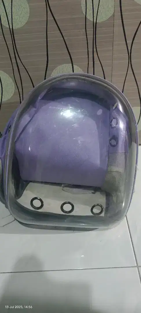 Tas kucing tas kelinci