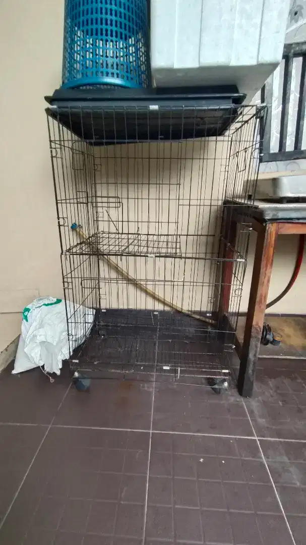 Dijual kandang kucing bekas