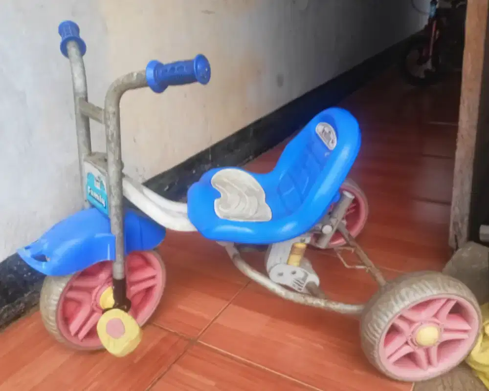 Sepeda anak family ban karet masih kokoh