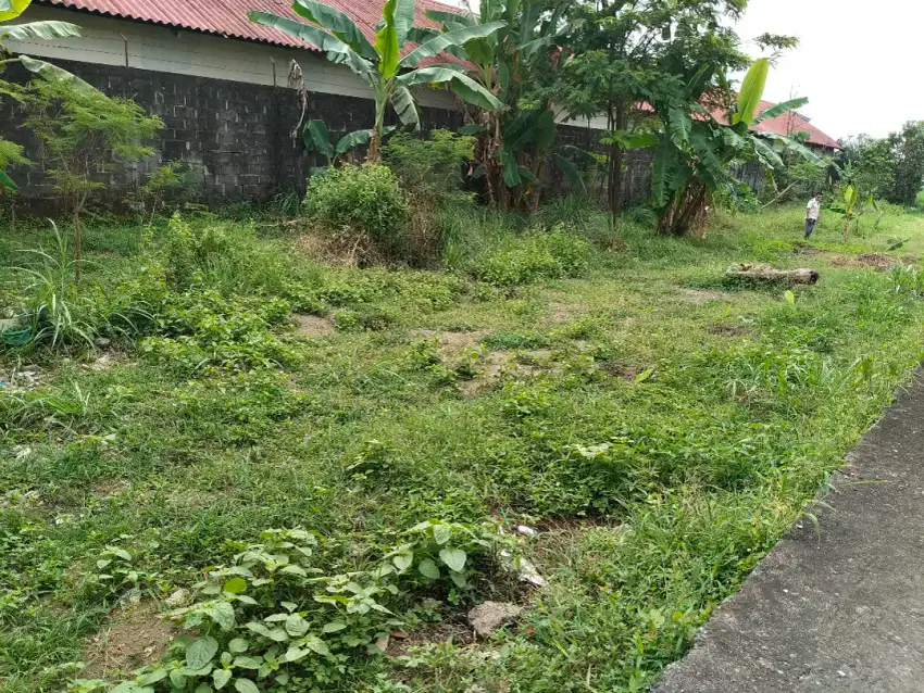 Disewakan tanah pekarangan selatan AMPLAZ JL Adisucipto.