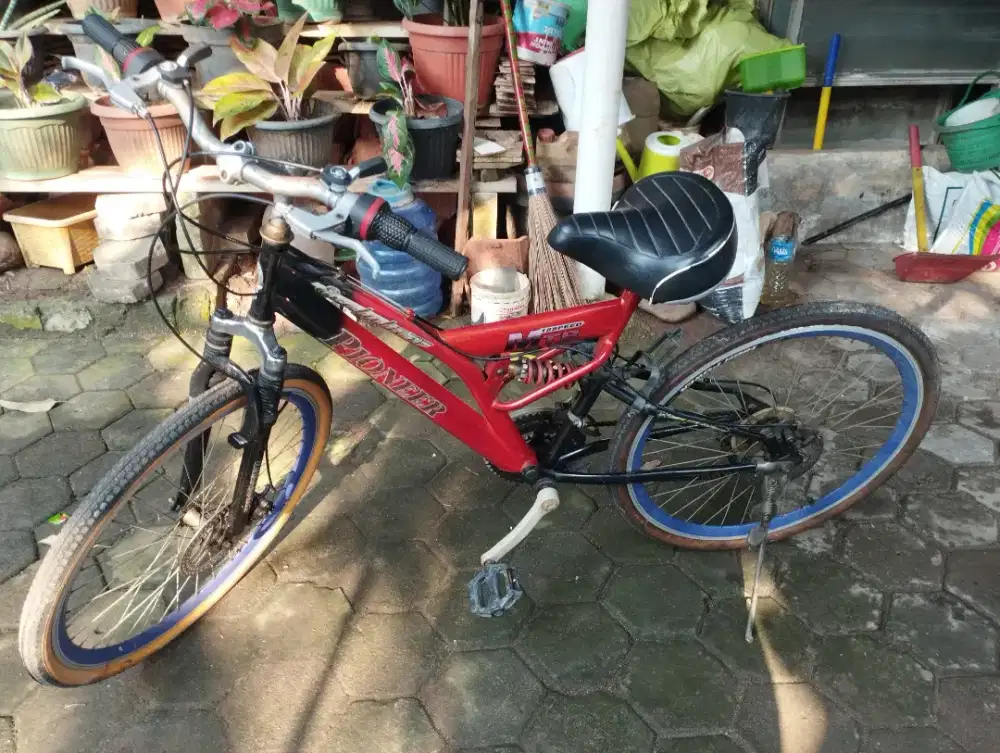 Sepeda bekas element pacific federal