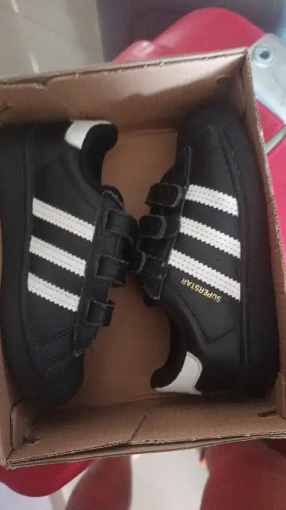 Sepatu adidas superstar kids original