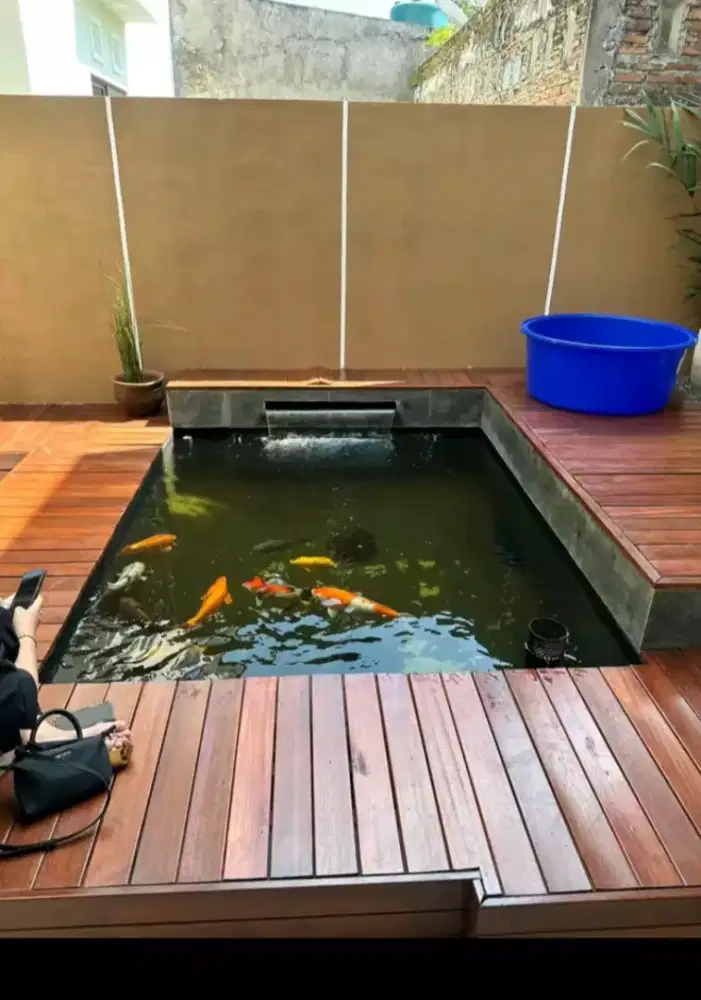 Kolam koi berdesain elegan
