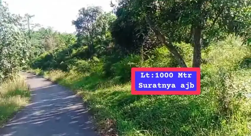 Jual tanah kebun murah nanggung lewiliang bgr barat