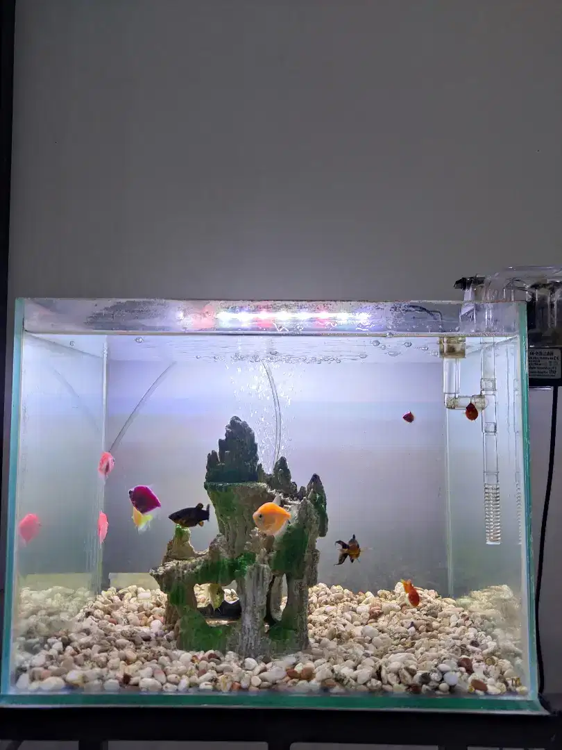 Aquarium Lengkap Gratis Ongkir Jaksel